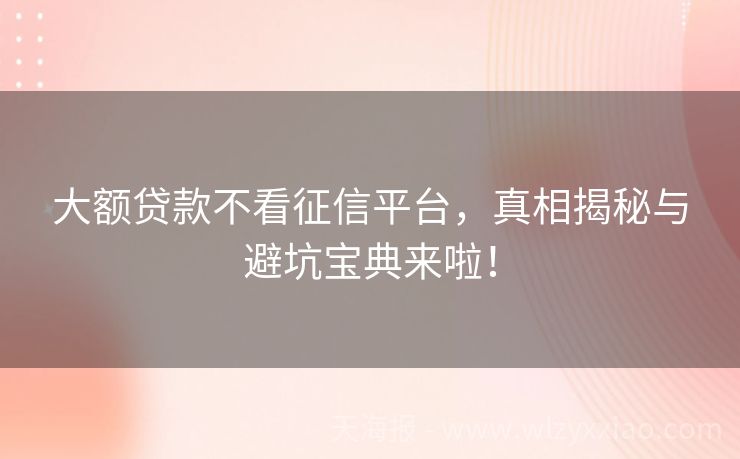 大额贷款不看征信平台，真相揭秘与避坑宝典来啦！