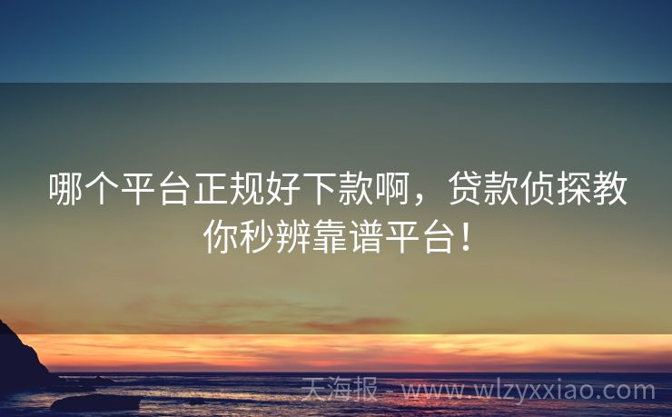 哪个平台正规好下款啊，贷款侦探教你秒辨靠谱平台！