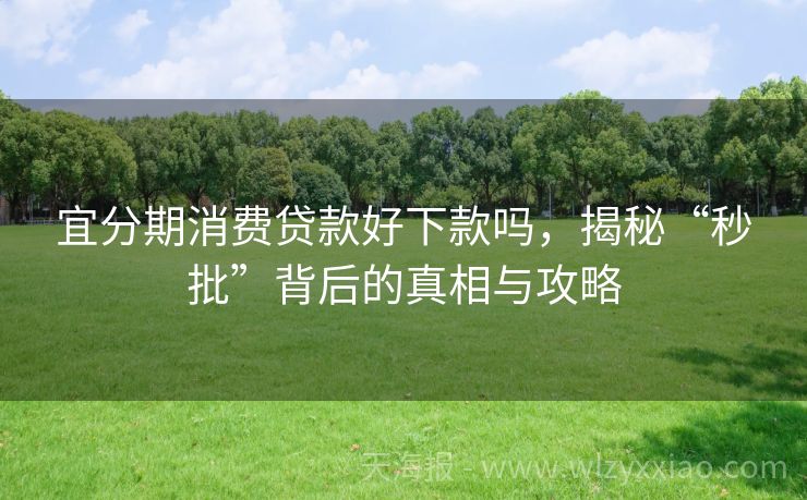宜分期消费贷款好下款吗，揭秘“秒批”背后的真相与攻略