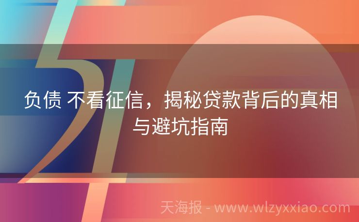 负债 不看征信，揭秘贷款背后的真相与避坑指南