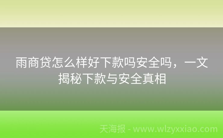 雨商贷怎么样好下款吗安全吗，一文揭秘下款与安全真相