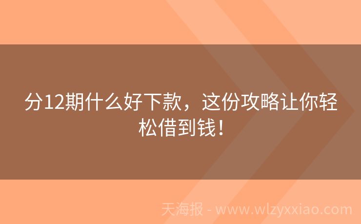 分12期什么好下款，这份攻略让你轻松借到钱！