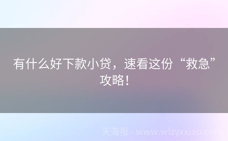 有什么好下款小贷，速看这份“救急”攻略！