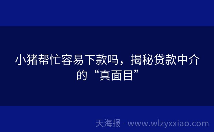 小猪帮忙容易下款吗，揭秘贷款中介的“真面目”