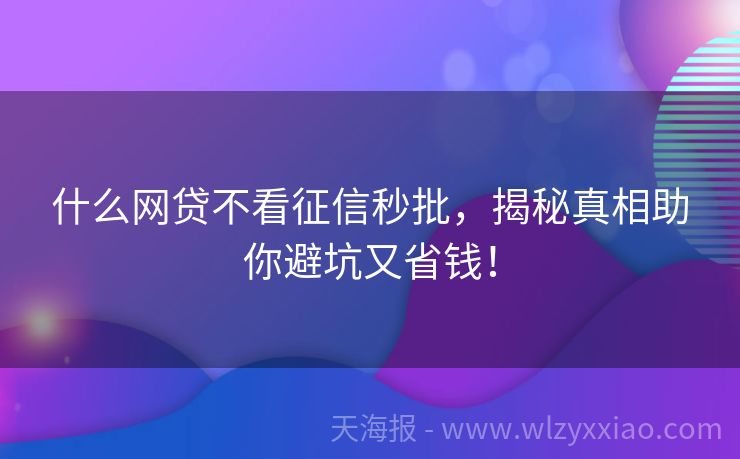 什么网贷不看征信秒批，揭秘真相助你避坑又省钱！