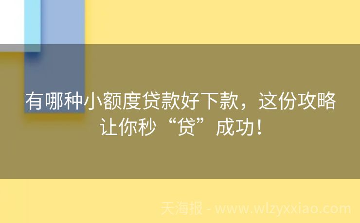 有哪种小额度贷款好下款，这份攻略让你秒“贷”成功！