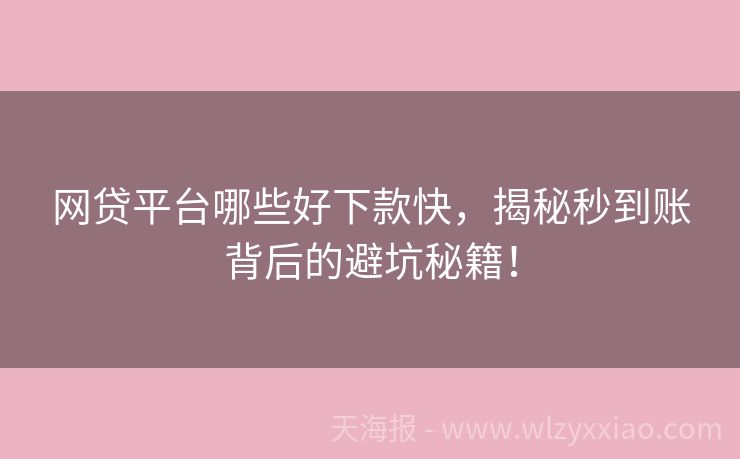 网贷平台哪些好下款快，揭秘秒到账背后的避坑秘籍！