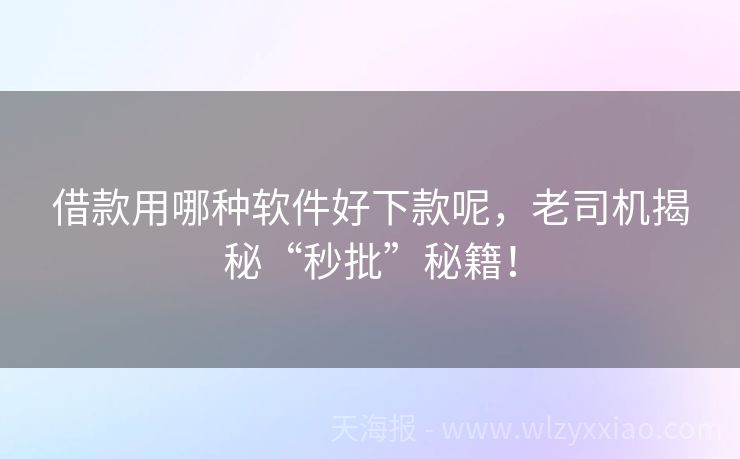 借款用哪种软件好下款呢，老司机揭秘“秒批”秘籍！