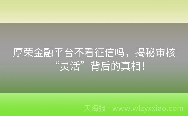 厚荣金融平台不看征信吗，揭秘审核“灵活”背后的真相！