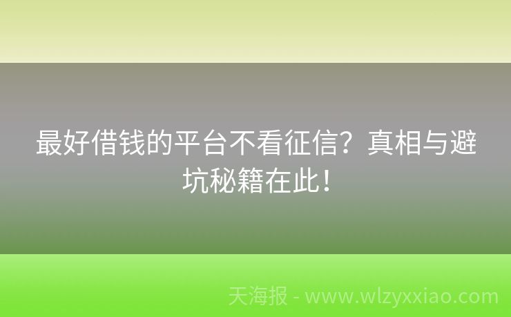 最好借钱的平台不看征信？真相与避坑秘籍在此！