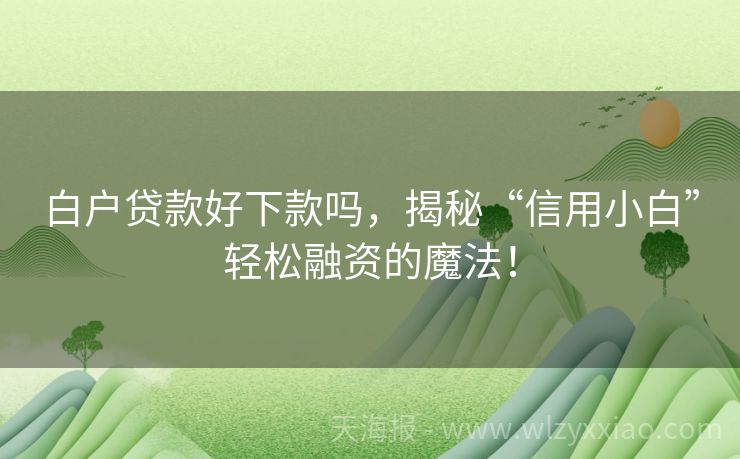 白户贷款好下款吗，揭秘“信用小白”轻松融资的魔法！