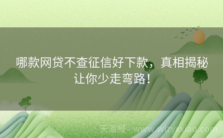 哪款网贷不查征信好下款，真相揭秘让你少走弯路！