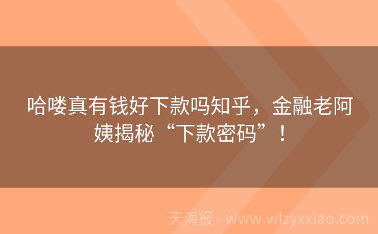 哈喽真有钱好下款吗知乎，金融老阿姨揭秘“下款密码”！