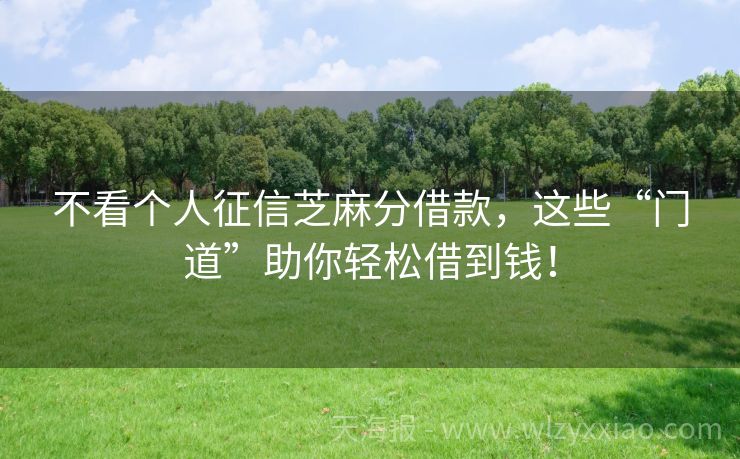不看个人征信芝麻分借款，这些“门道”助你轻松借到钱！