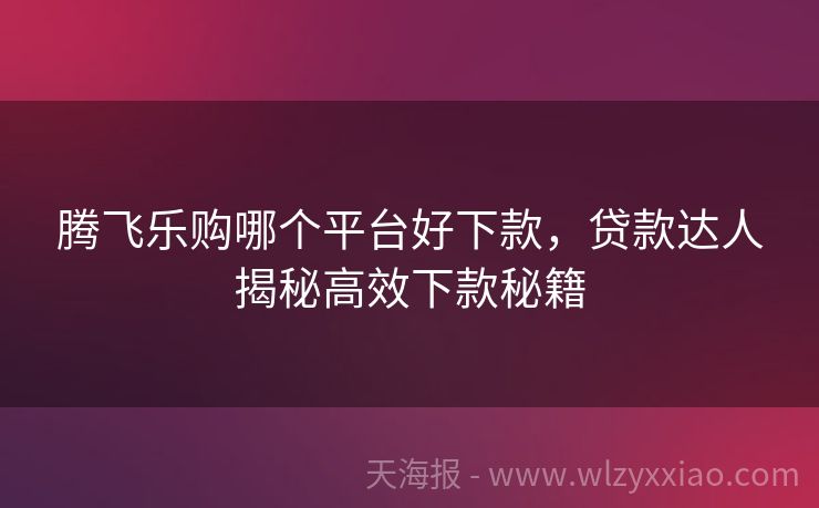 腾飞乐购哪个平台好下款，贷款达人揭秘高效下款秘籍