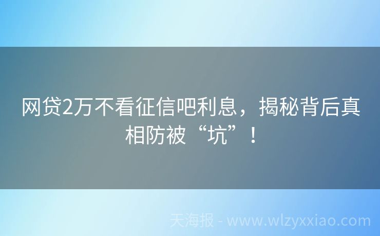 网贷2万不看征信吧利息，揭秘背后真相防被“坑”！