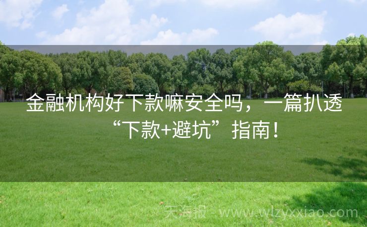 金融机构好下款嘛安全吗，一篇扒透“下款+避坑”指南！