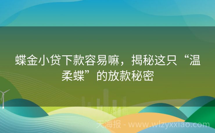 蝶金小贷下款容易嘛，揭秘这只“温柔蝶”的放款秘密