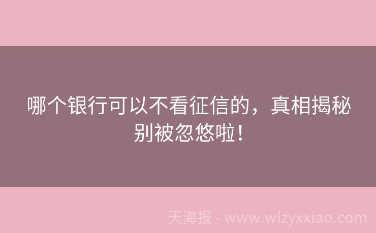 哪个银行可以不看征信的，真相揭秘别被忽悠啦！
