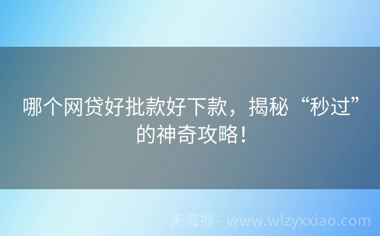 哪个网贷好批款好下款，揭秘“秒过”的神奇攻略！