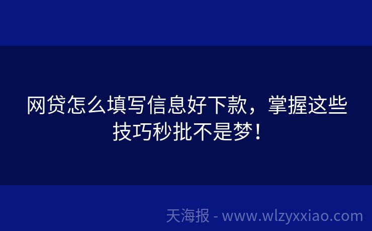 网贷怎么填写信息好下款，掌握这些技巧秒批不是梦！
