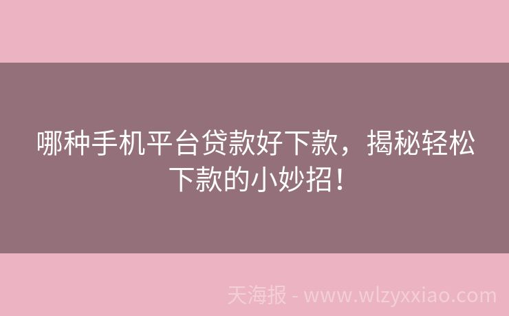 哪种手机平台贷款好下款，揭秘轻松下款的小妙招！
