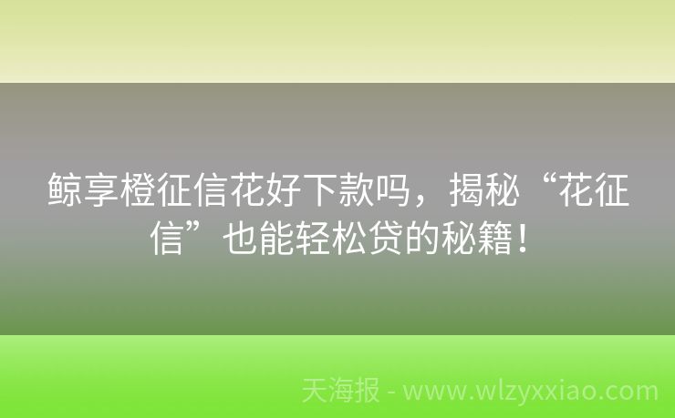 鲸享橙征信花好下款吗，揭秘“花征信”也能轻松贷的秘籍！