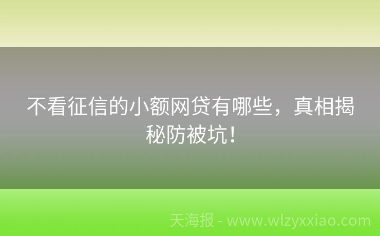 不看征信的小额网贷有哪些，真相揭秘防被坑！