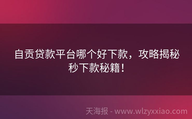 自贡贷款平台哪个好下款，攻略揭秘秒下款秘籍！