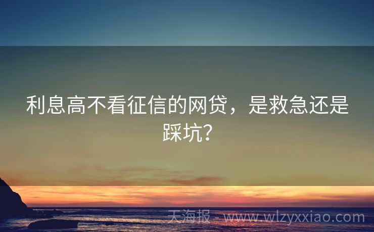 利息高不看征信的网贷，是救急还是踩坑？