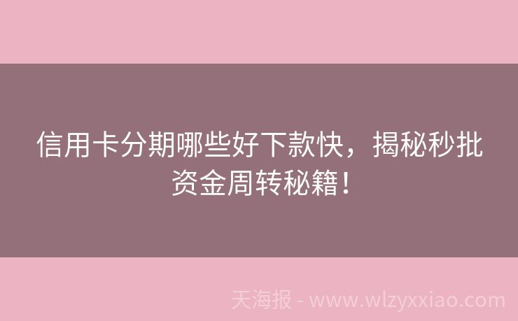 信用卡分期哪些好下款快，揭秘秒批资金周转秘籍！