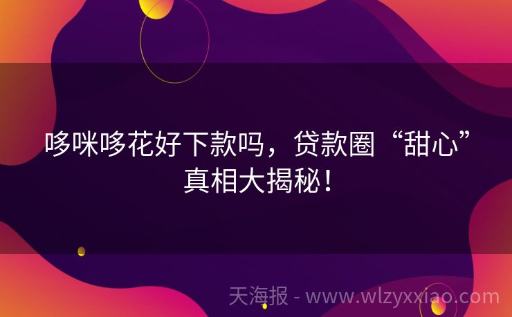 哆咪哆花好下款吗，贷款圈“甜心”真相大揭秘！