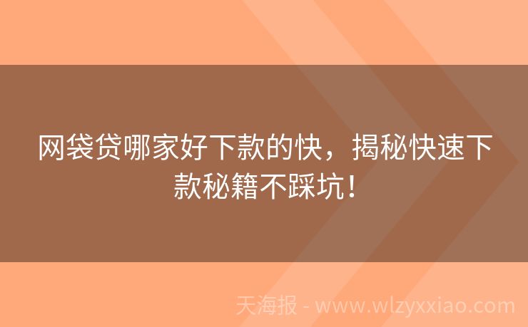 网袋贷哪家好下款的快，揭秘快速下款秘籍不踩坑！