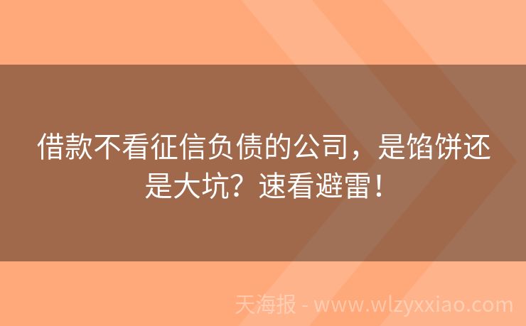借款不看征信负债的公司，是馅饼还是大坑？速看避雷！