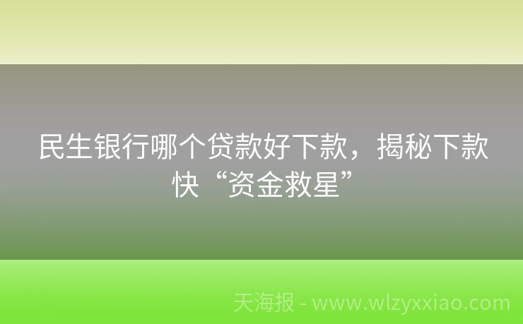 民生银行哪个贷款好下款，揭秘下款快“资金救星”