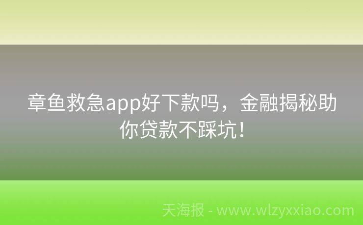 章鱼救急app好下款吗，金融揭秘助你贷款不踩坑！