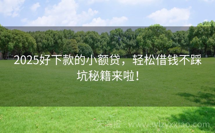 2025好下款的小额贷，轻松借钱不踩坑秘籍来啦！