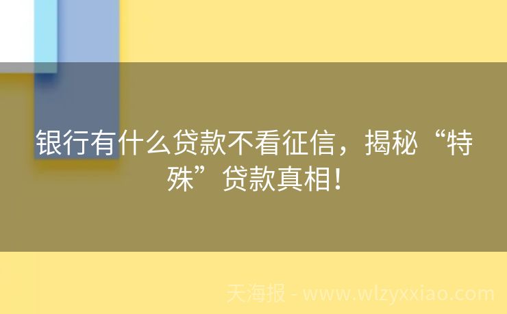 银行有什么贷款不看征信，揭秘“特殊”贷款真相！