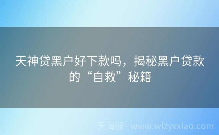天神贷黑户好下款吗，揭秘黑户贷款的“自救”秘籍