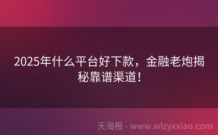 2025年什么平台好下款，金融老炮揭秘靠谱渠道！