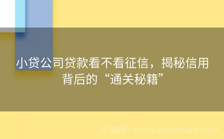 小贷公司贷款看不看征信，揭秘信用背后的“通关秘籍”
