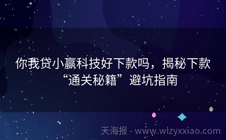 你我贷小赢科技好下款吗，揭秘下款“通关秘籍”避坑指南