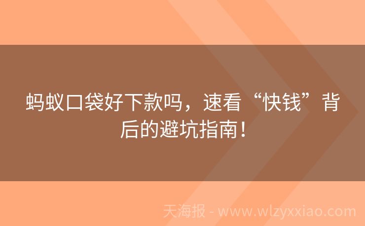 蚂蚁口袋好下款吗，速看“快钱”背后的避坑指南！