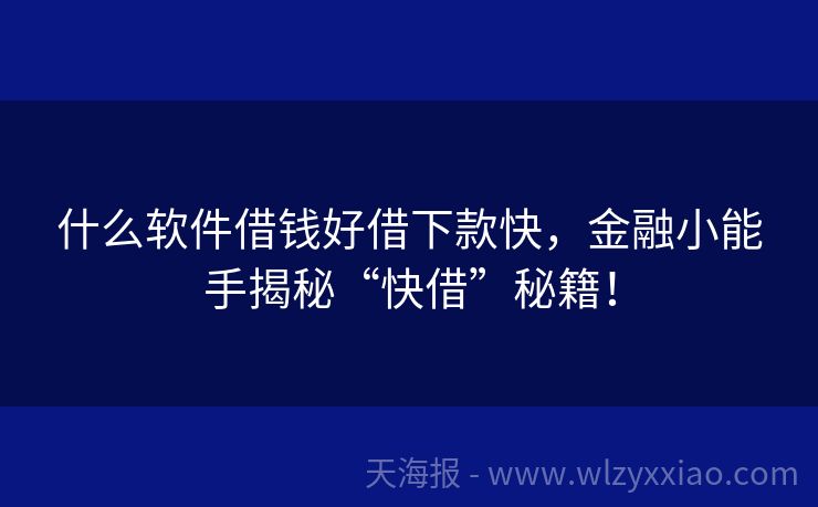 什么软件借钱好借下款快，金融小能手揭秘“快借”秘籍！