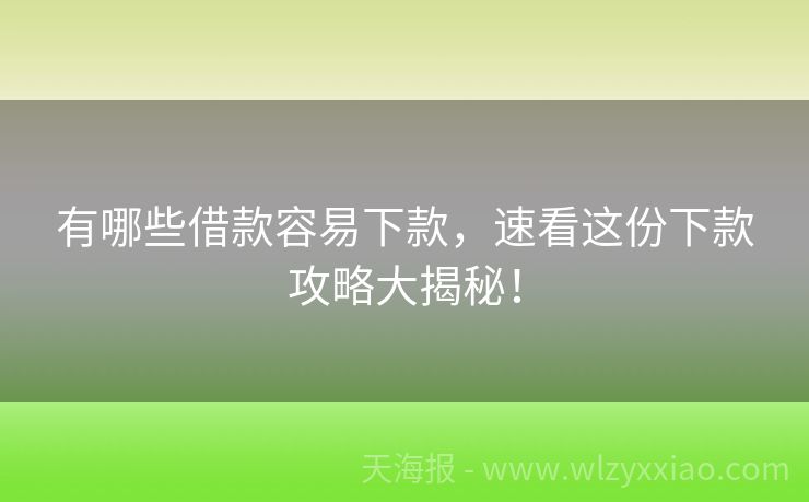 有哪些借款容易下款，速看这份下款攻略大揭秘！