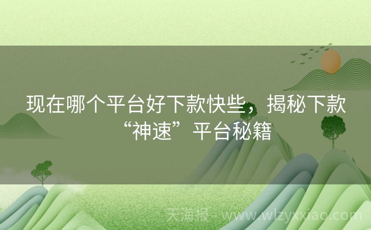 现在哪个平台好下款快些，揭秘下款“神速”平台秘籍