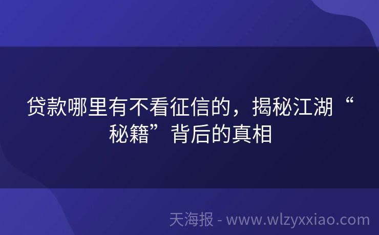 贷款哪里有不看征信的，揭秘江湖“秘籍”背后的真相