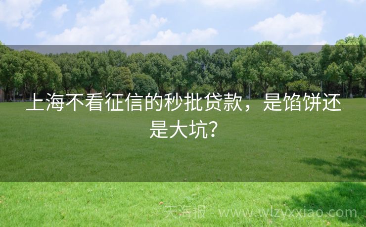 上海不看征信的秒批贷款，是馅饼还是大坑？