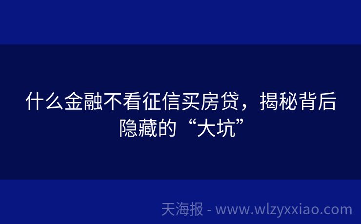 什么金融不看征信买房贷，揭秘背后隐藏的“大坑”
