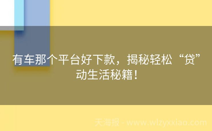 有车那个平台好下款，揭秘轻松“贷”动生活秘籍！